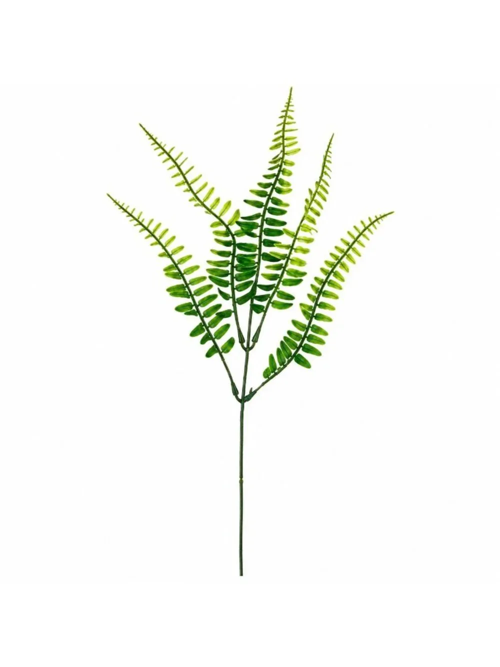 Artificial Boston Fern Picks Set of 10, 15 Inch Faux Fern Greenery, Floral Fille